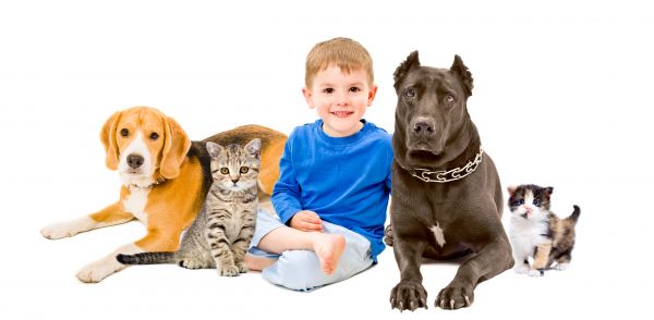 Fort Lauderdale Pets