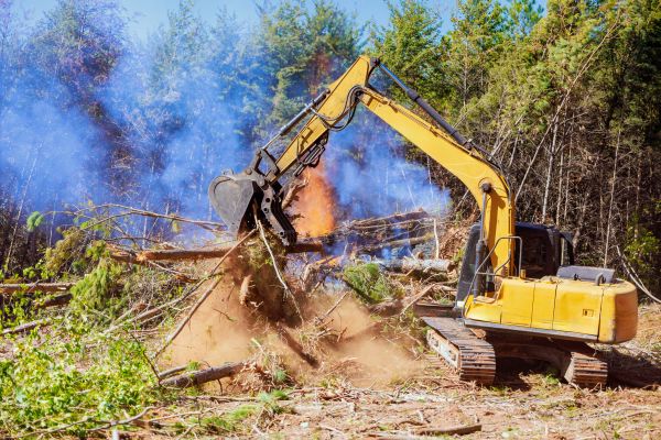 Fort Lauderdale Land Clearing