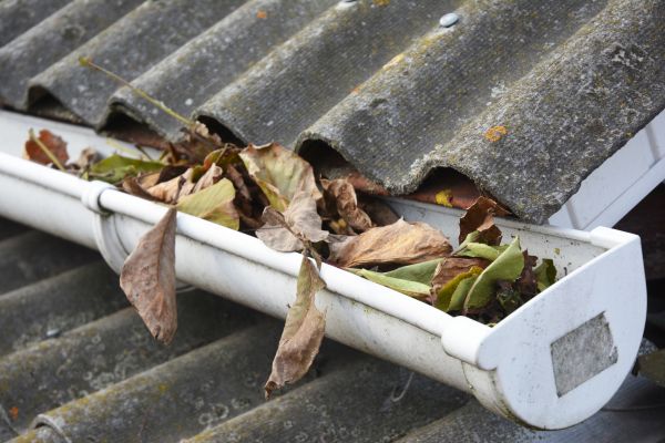 Fort Lauderdale Gutter Cleaning